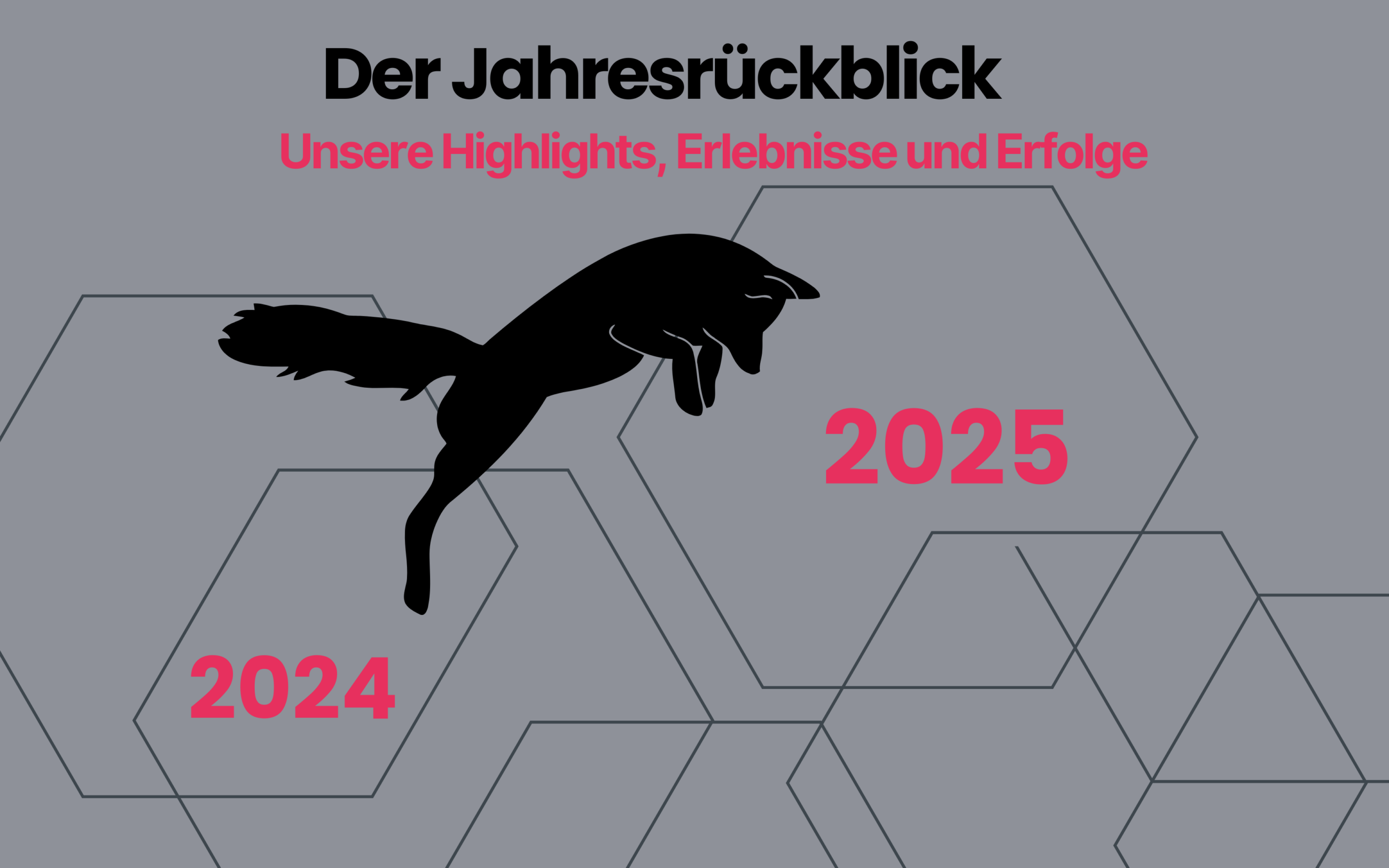 Der Fuchs springt vom Jahr 2024 ins Jahr 2025.